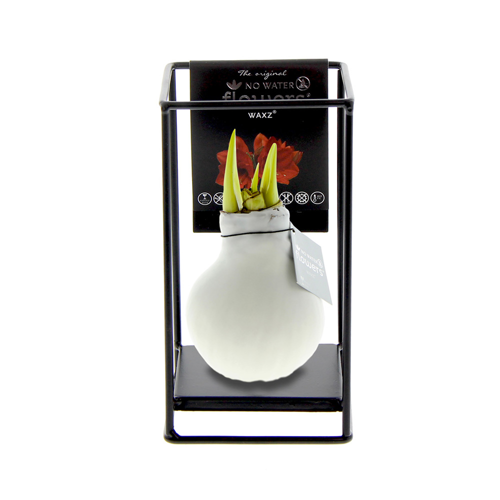 No Water Flowers® - Formz industrial - kopen of bedrukken - wit