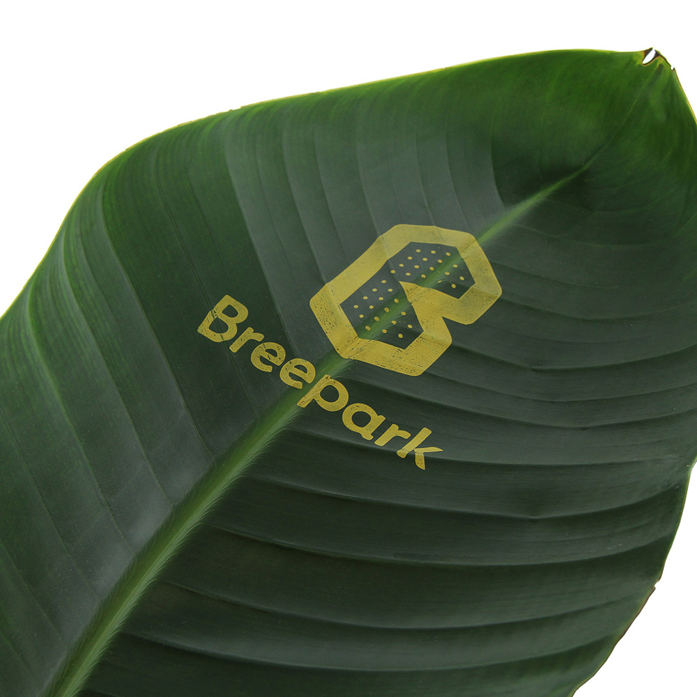 Message Printz® - Strelitzia small - bedrukt of onbedrukt verkrijgbaar