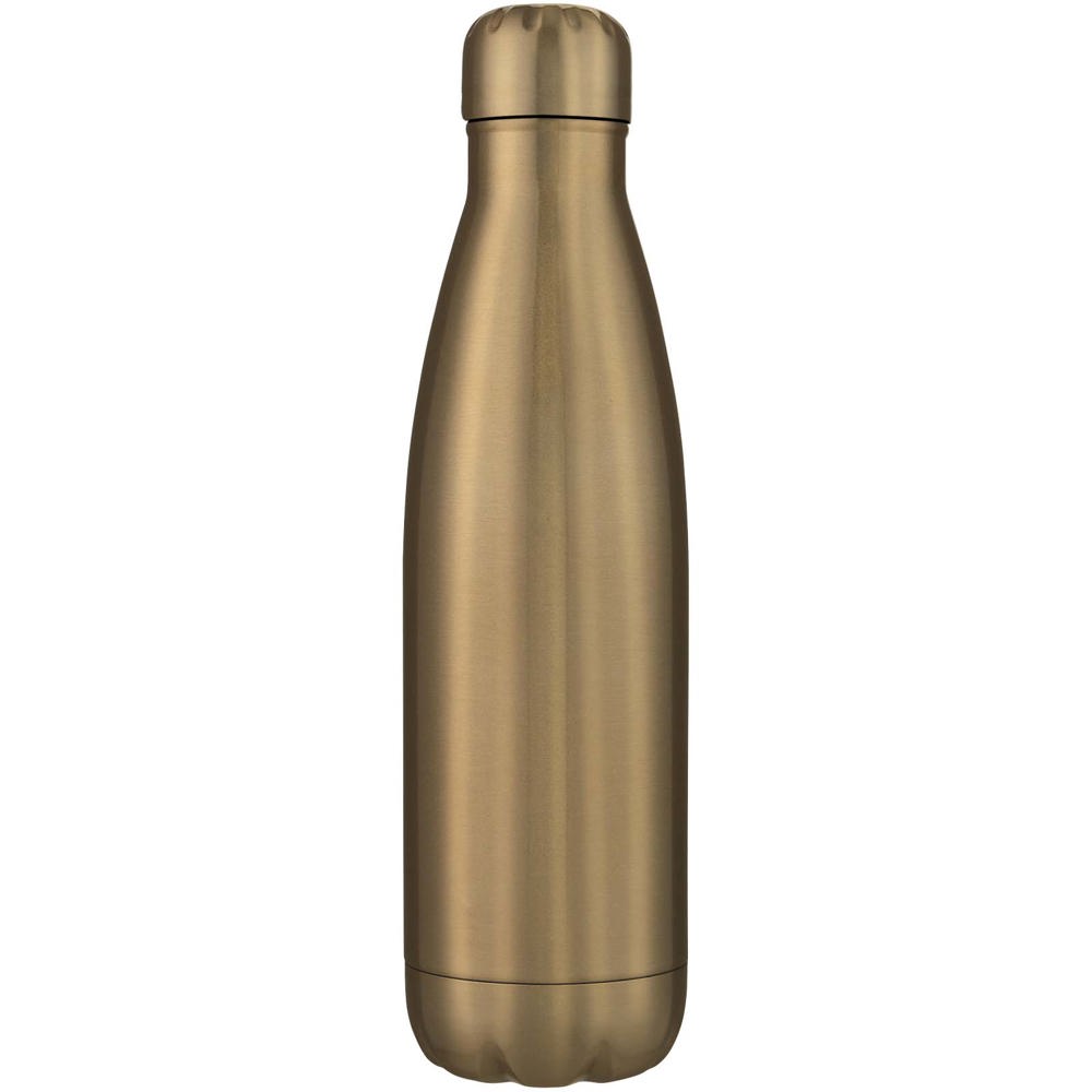 Cove vacuüm geïsoleerde roestvrijstalen fles van 500 ml