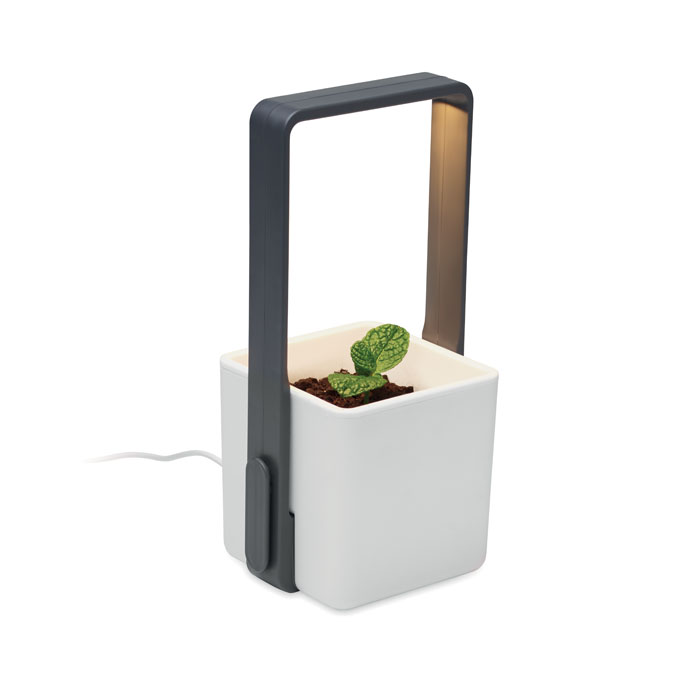 LUSHLET - Binnentuin met LED lamp