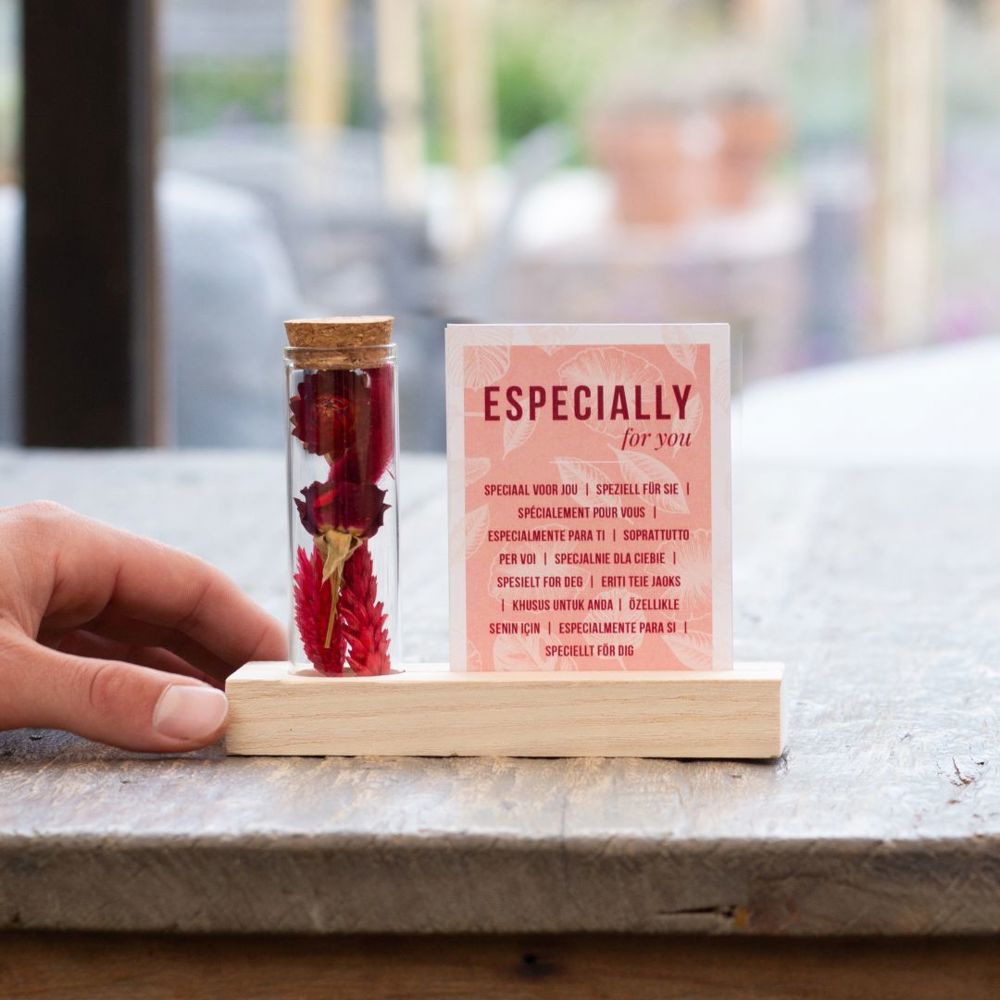 Dried Flowers - Cardholder & tube, Natuurlijk