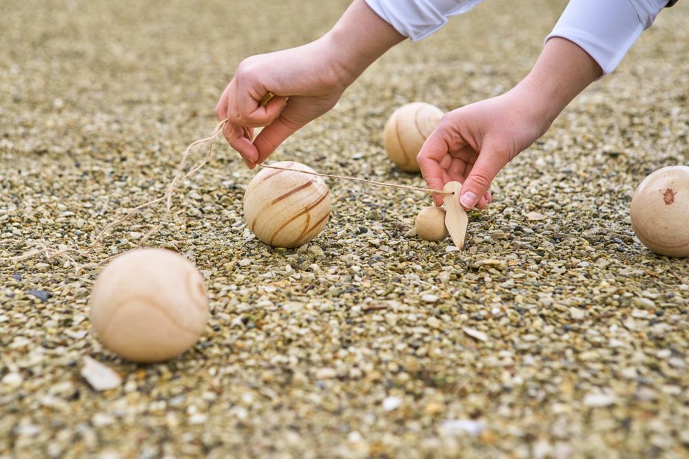 Houten balspelset Quillian