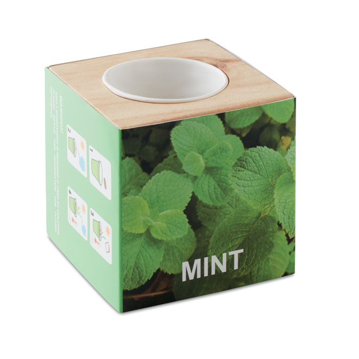 MENTA - Kweekset, munt in houten pot - voor bedrijven en relatiegeschenken