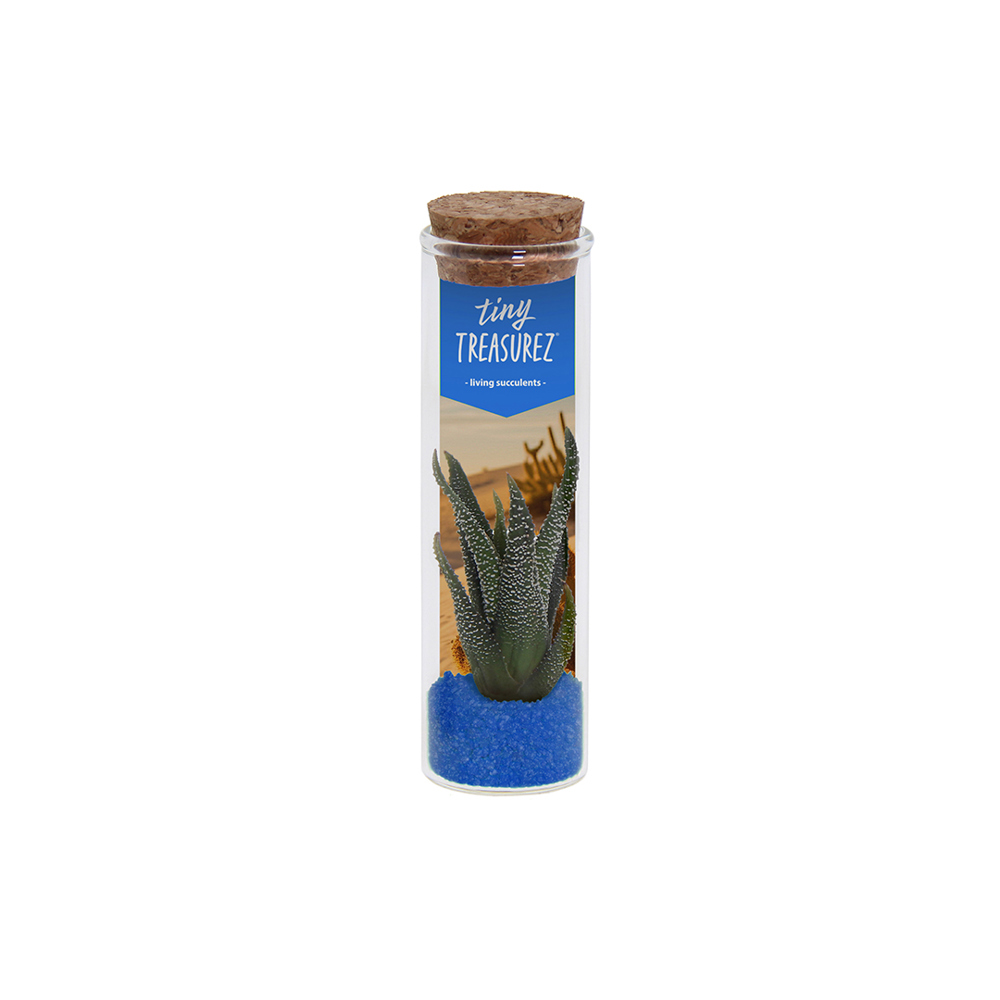 Tiny Treasurez® - Message in a bottle small - met logo of onbedrukt bestellen - blauw