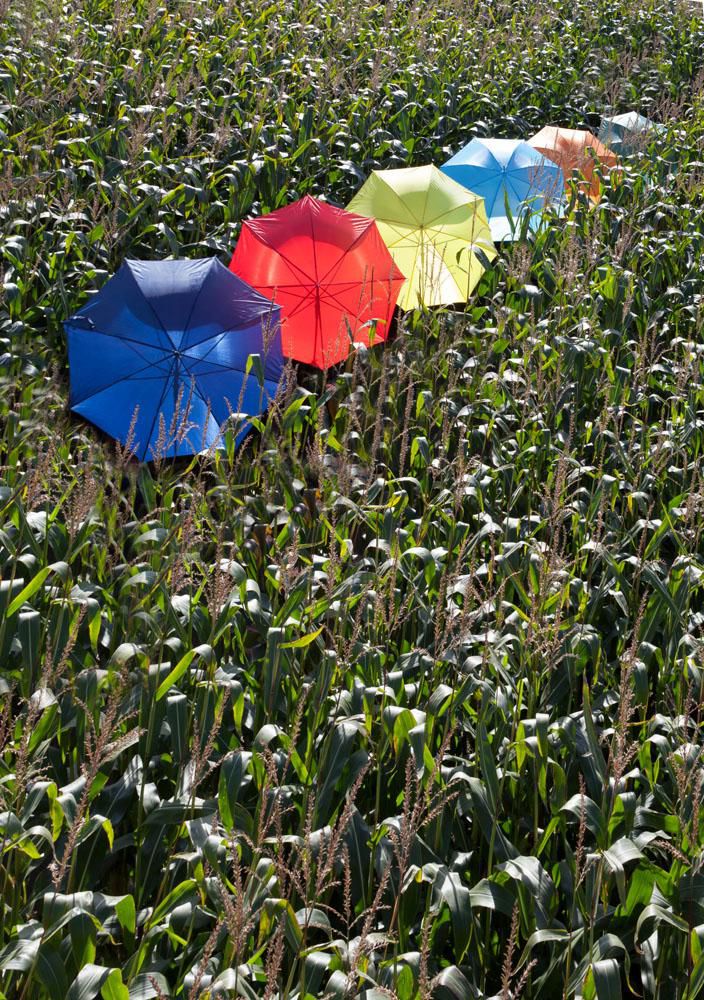 Polyester (190T) paraplu Andy