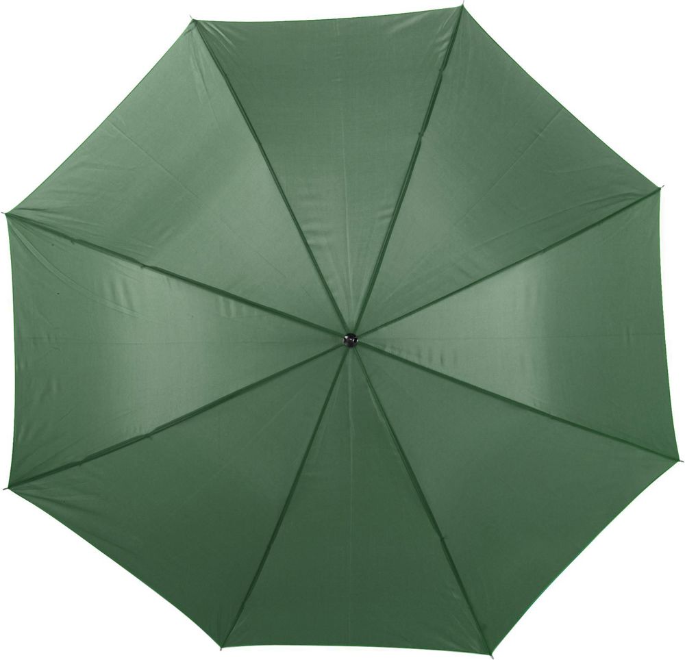 Polyester (190T) paraplu Andy - voor bedrijven en relatiegeschenken - Groen