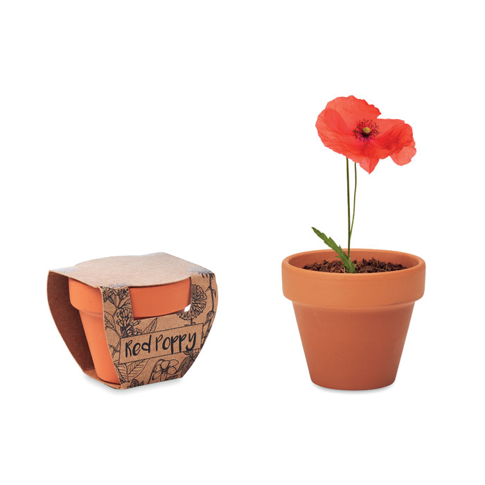 RED POPPY - Potje Klaproos - met logo of onbedrukt bestellen