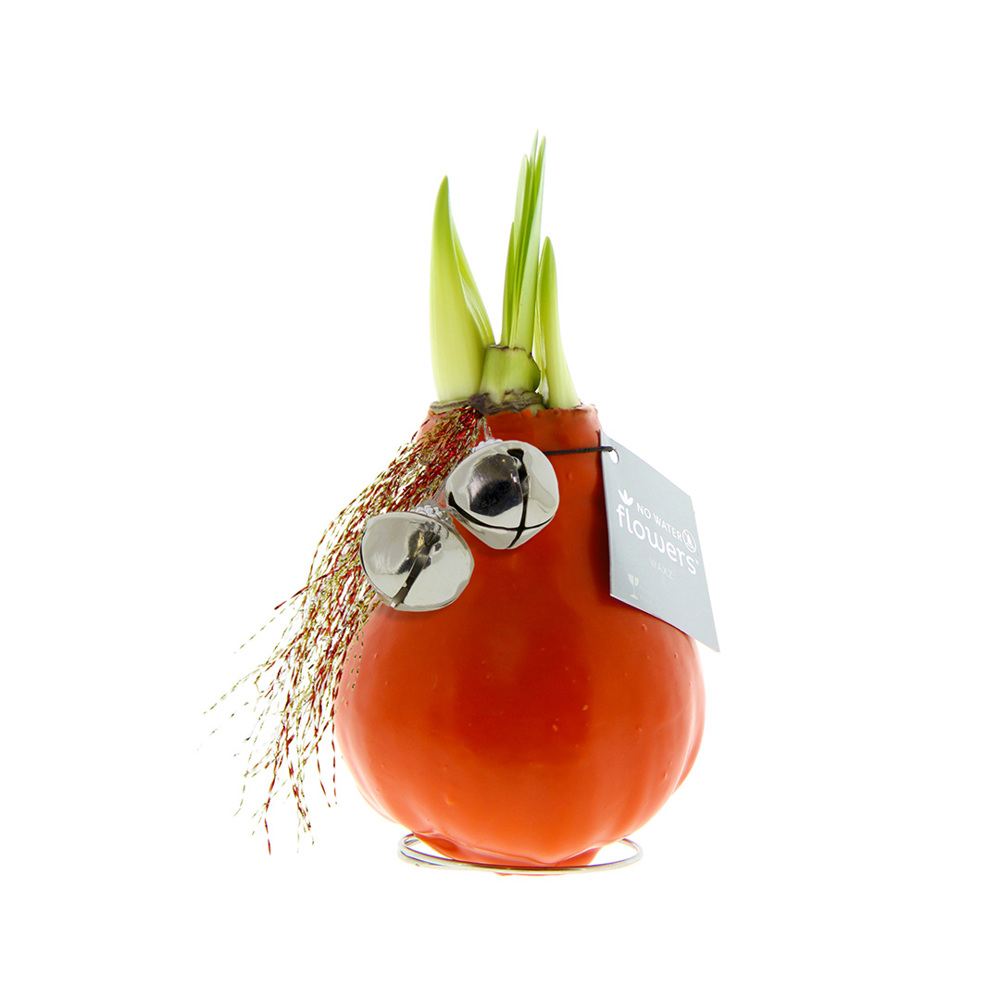 No Water Flowers® - Jingle Bellz - voor bedrijven en relatiegeschenken - oranje