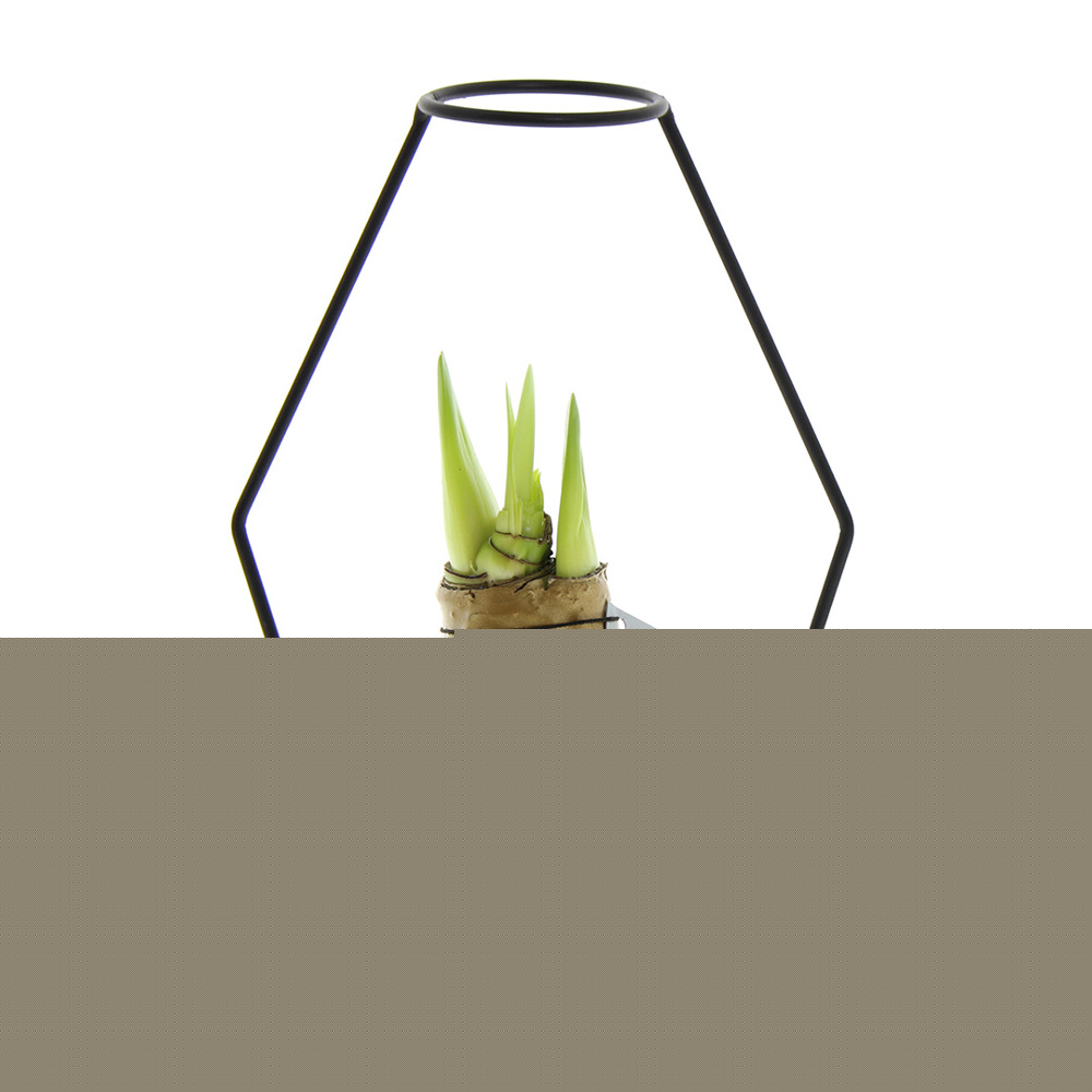 No Water Flowers® - Formz modern - kopen of bedrukken - goud