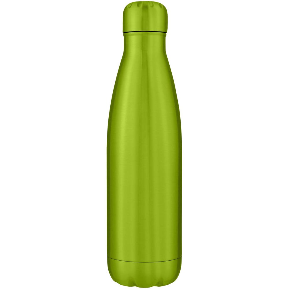 Cove vacuüm geïsoleerde roestvrijstalen fles van 500 ml