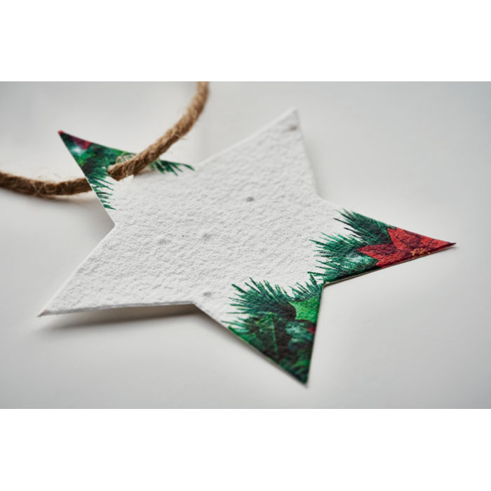 STARSEED - Zaadpapier kerstornament