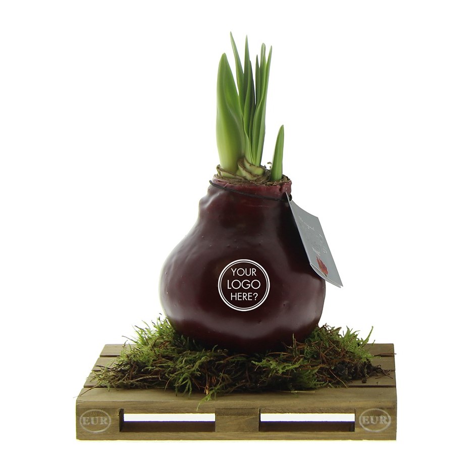 No Water Flowers® - Waxz® on pallet - met logo of onbedrukt bestellen