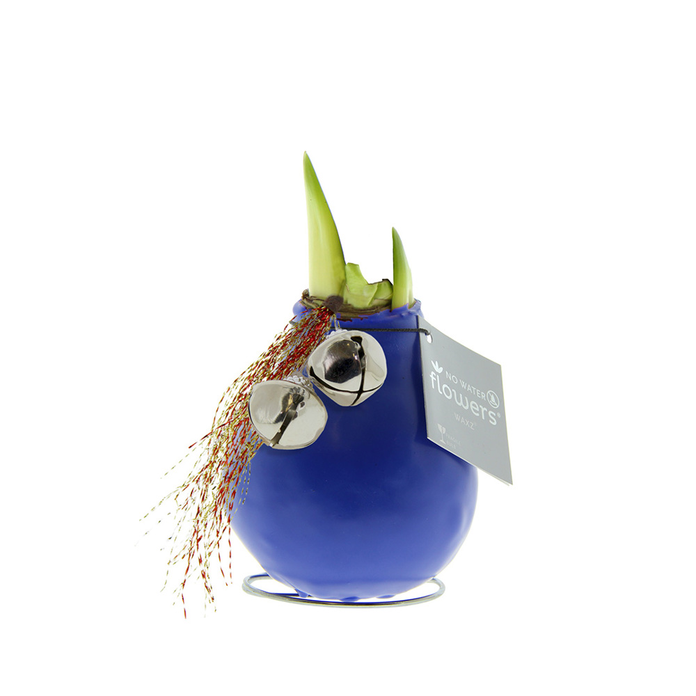 No Water Flowers® - Jingle Bellz - voor bedrijven en relatiegeschenken - blauw