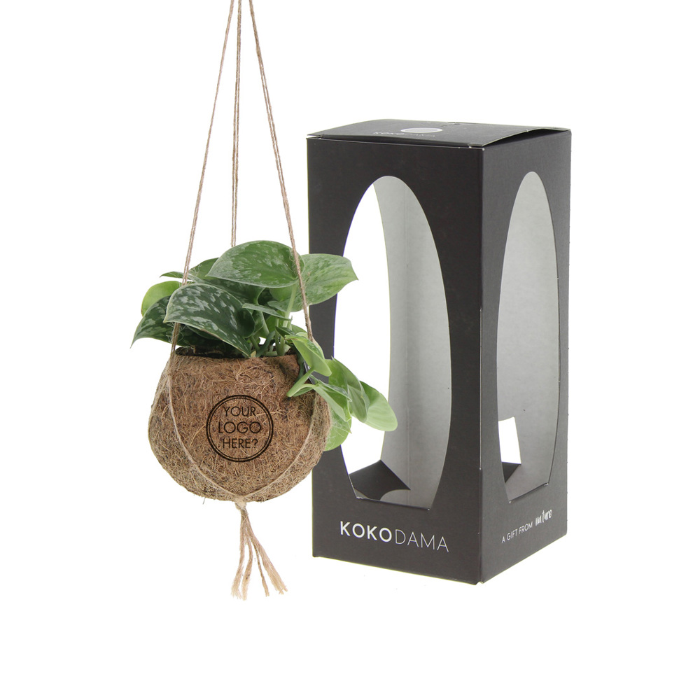 Kokodama® - Green mix (S) - kopen of bedrukken