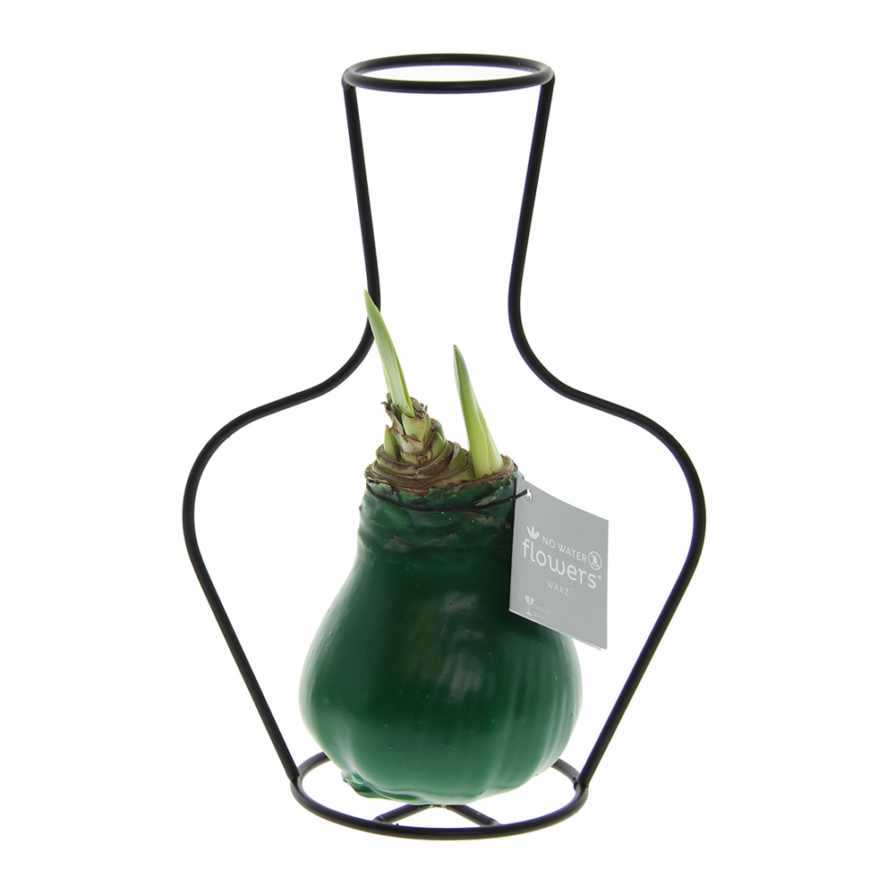 No Water Flowers® - Formz classic - kopen of bedrukken - donkergroen