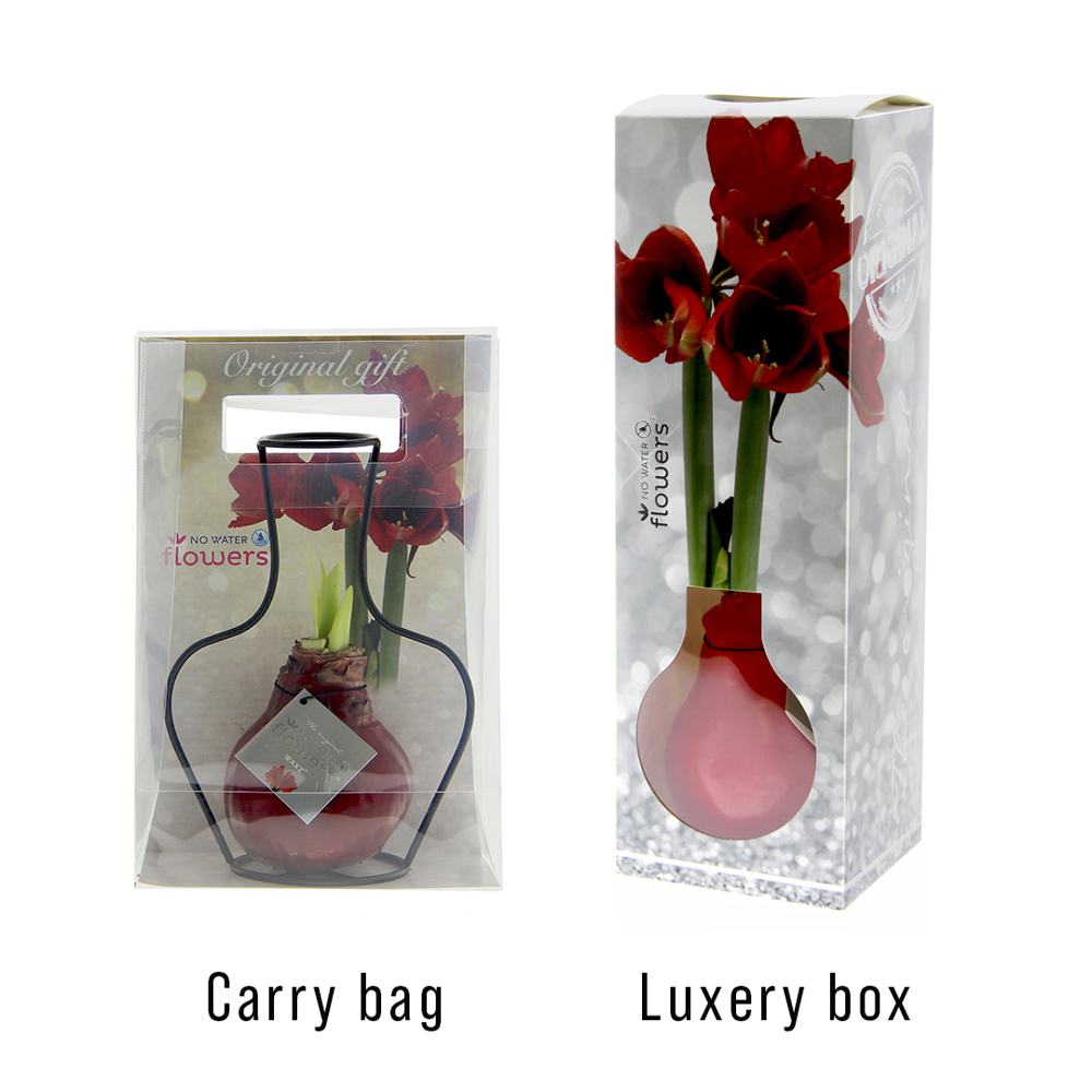 No Water Flowers® - Formz classic, Zonder verpakking, Zwart
