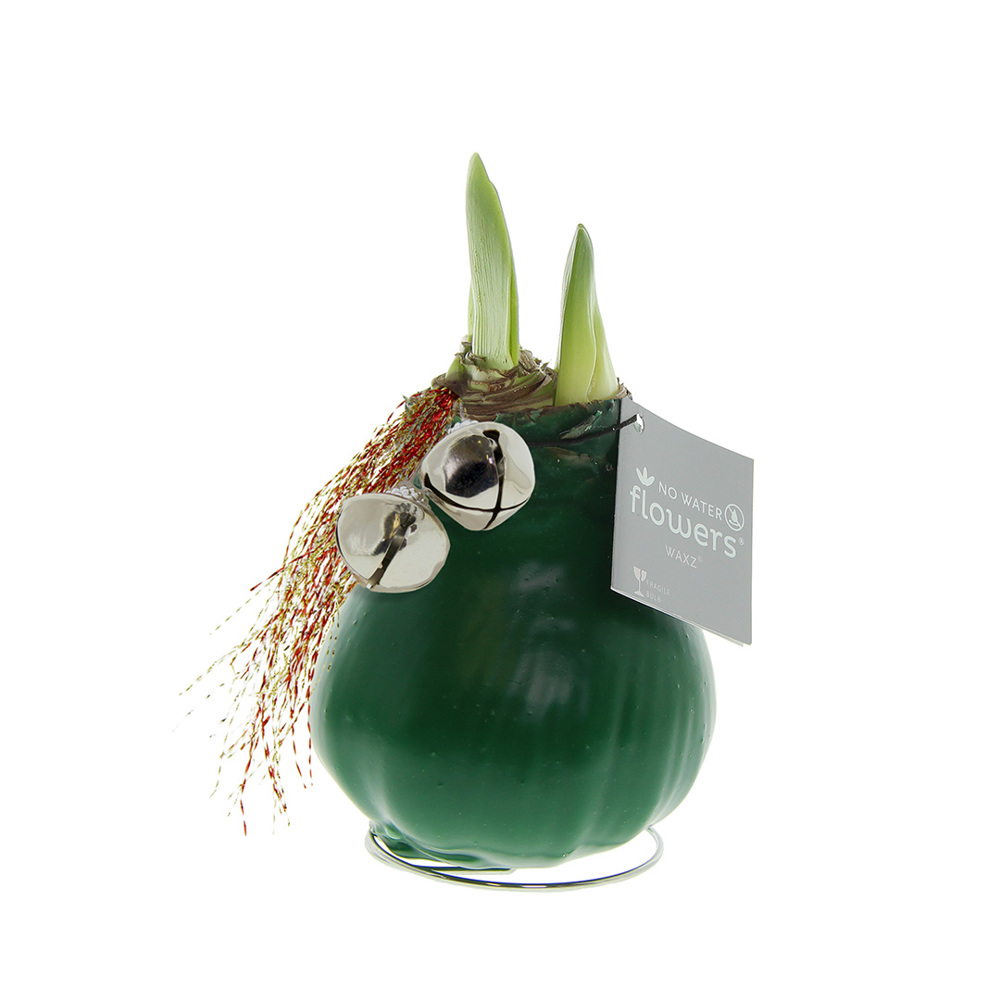 No Water Flowers® - Jingle Bellz - voor bedrijven en relatiegeschenken - donkergroen