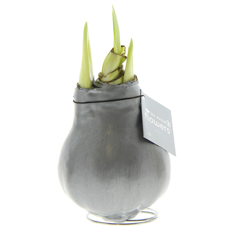 No Water Flowers® - Waxz® Colours - kopen of bedrukken - zilver