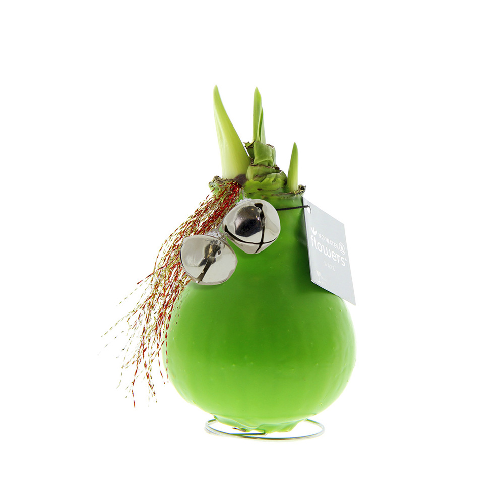 No Water Flowers® - Jingle Bellz - voor bedrijven en relatiegeschenken - Lichtgroen