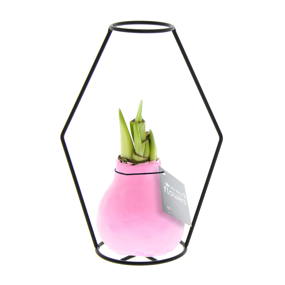 No Water Flowers® - Formz modern - kopen of bedrukken - Pastel roze