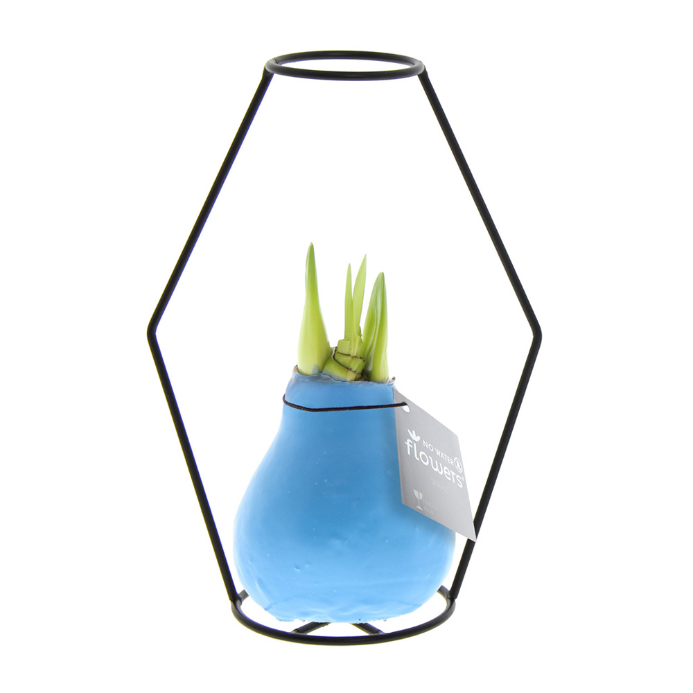 No Water Flowers® - Formz modern - kopen of bedrukken - Pastel blauw