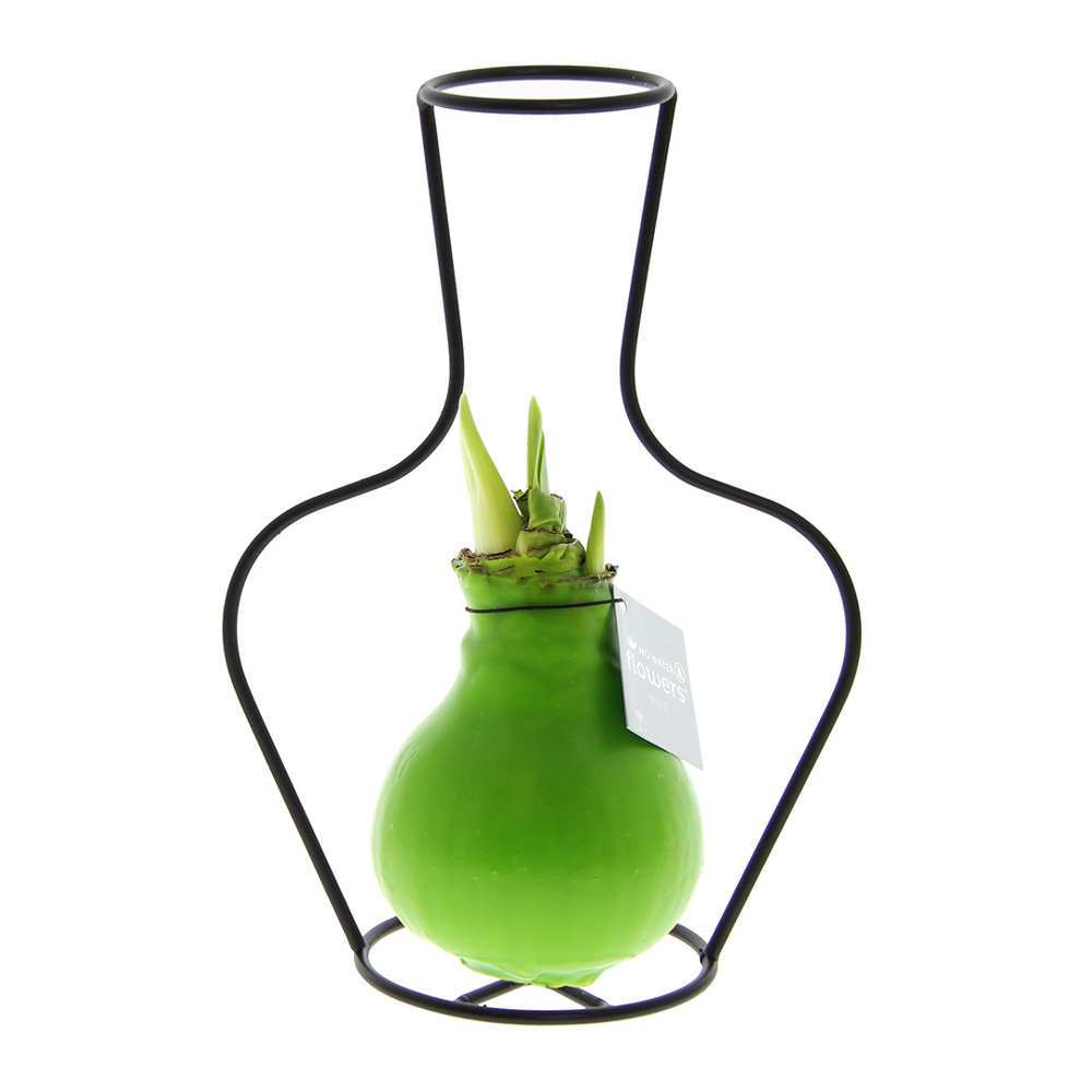 No Water Flowers® - Formz classic - kopen of bedrukken - Lichtgroen