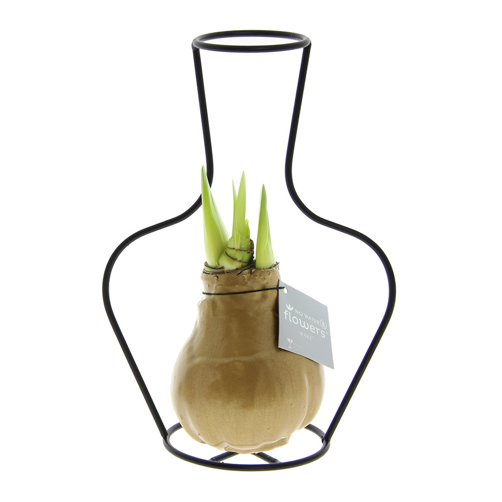 No Water Flowers® - Formz classic - kopen of bedrukken - goud