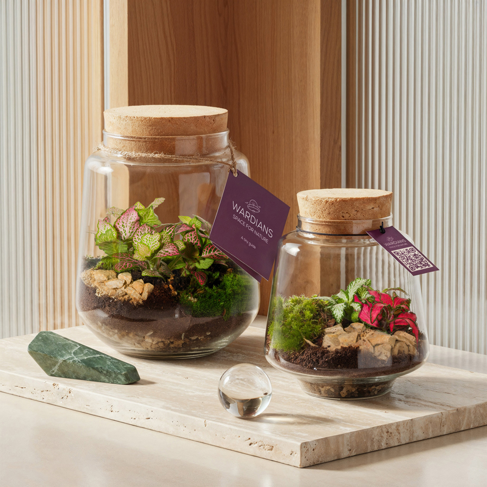 Wardians® Ecosystem - Conical small, Zonder verpakking