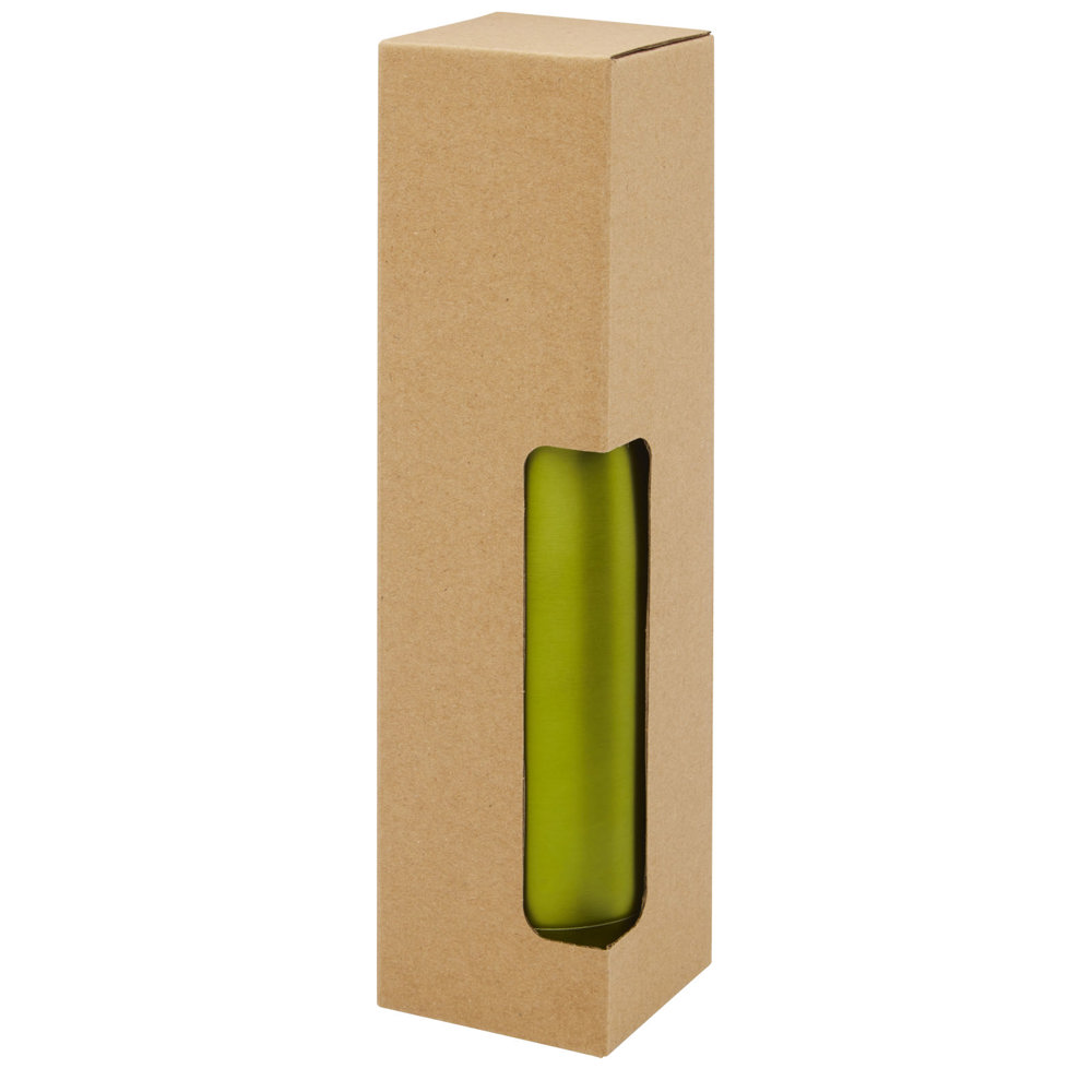 Cove vacuüm geïsoleerde roestvrijstalen fles van 500 ml
