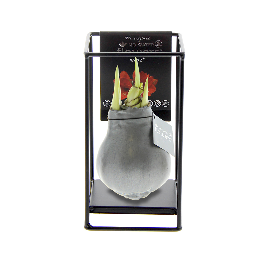 No Water Flowers® - Formz industrial - kopen of bedrukken - zilver