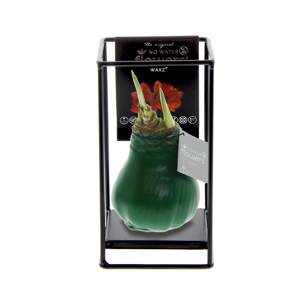 No Water Flowers® - Formz industrial - kopen of bedrukken - donkergroen