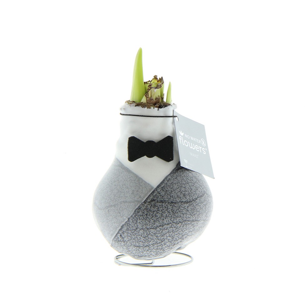 No Water Flowers® - Giletz Bow Tie - bedrukt of onbedrukt verkrijgbaar