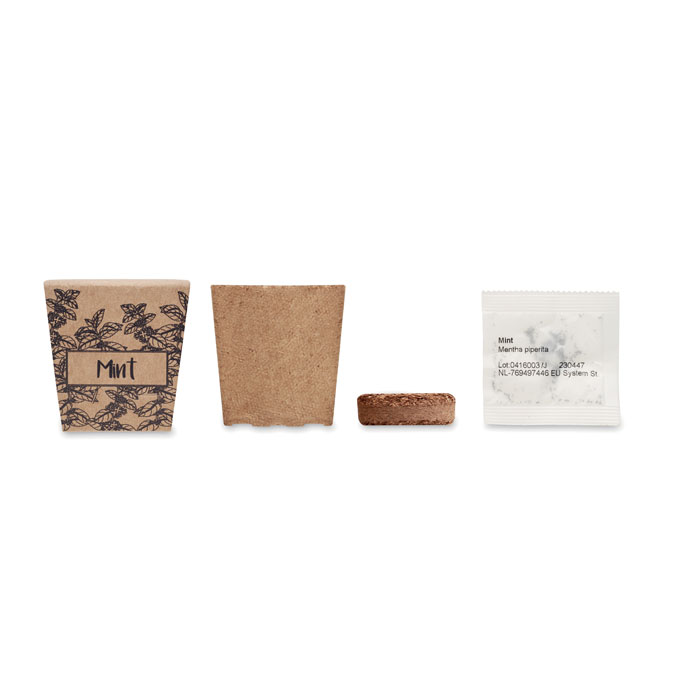 MINT KIT - Muntzaad kweekset