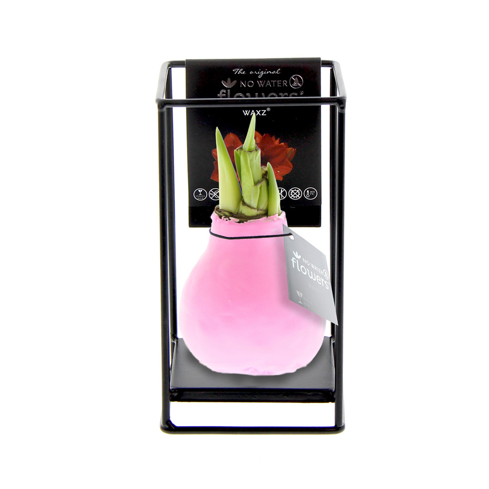 No Water Flowers® - Formz industrial - kopen of bedrukken - Pastel roze