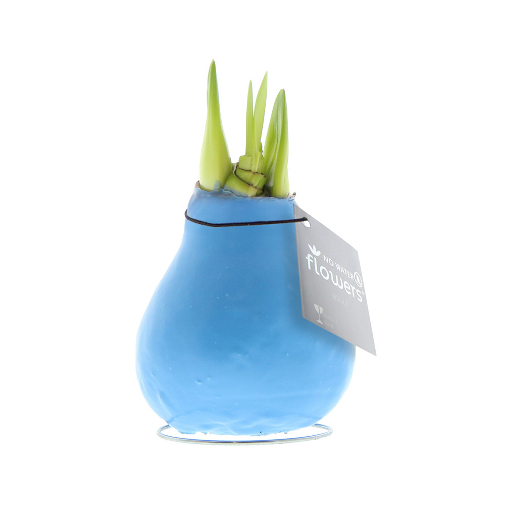 No Water Flowers® - Waxz® Colours - kopen of bedrukken - Pastel blauw
