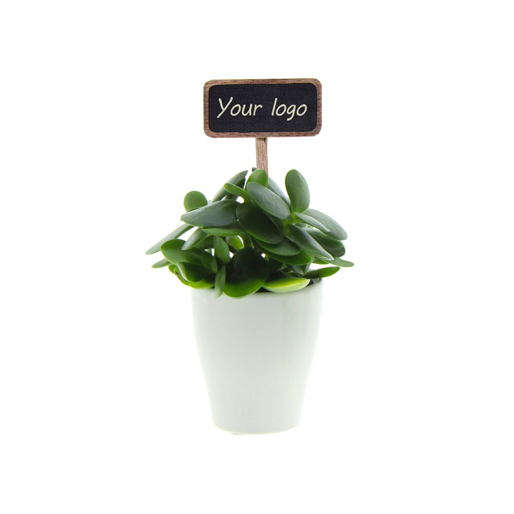 ChalkNotes® - Easy care mix - kopen of bedrukken
