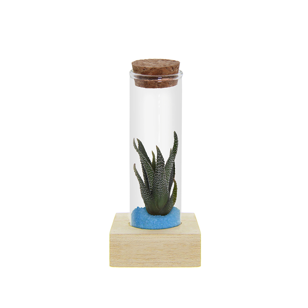 Tiny Treasurez® - Single tube & wood - met logo of onbedrukt bestellen - licht blauw