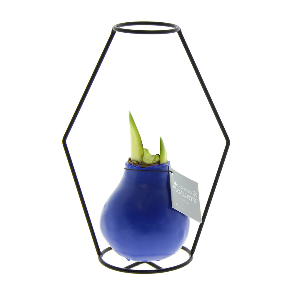 No Water Flowers® - Formz modern - kopen of bedrukken - blauw