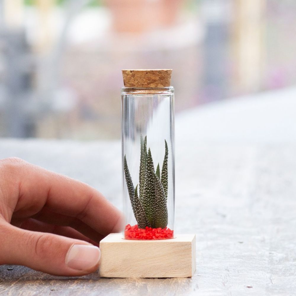Tiny Treasurez® - Single tube & wood, Groen