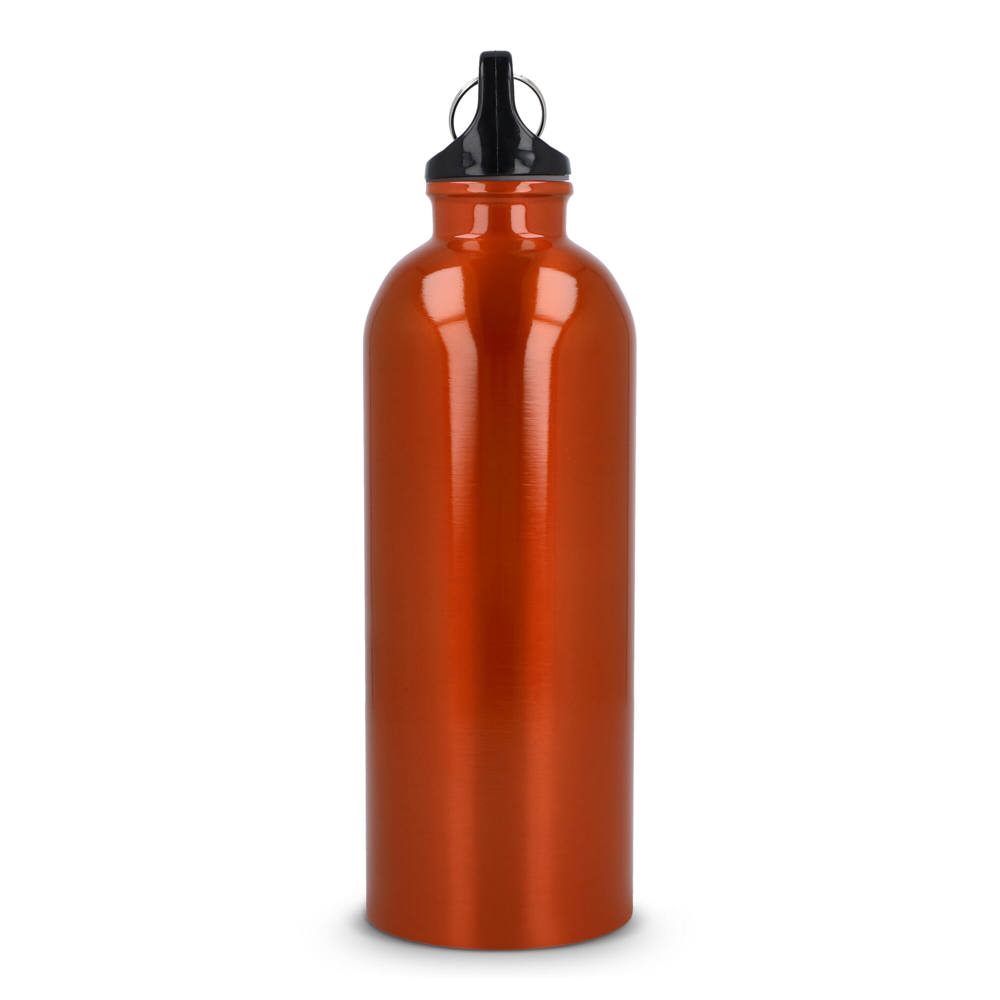 Gerecycled RVS Enkelwandige fles met Karabijnhaak 500ml