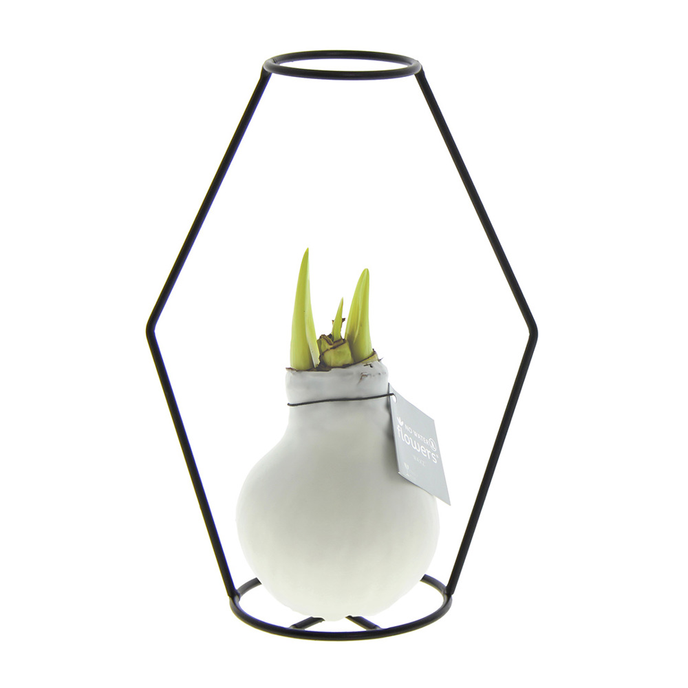 No Water Flowers® - Formz modern - kopen of bedrukken - wit