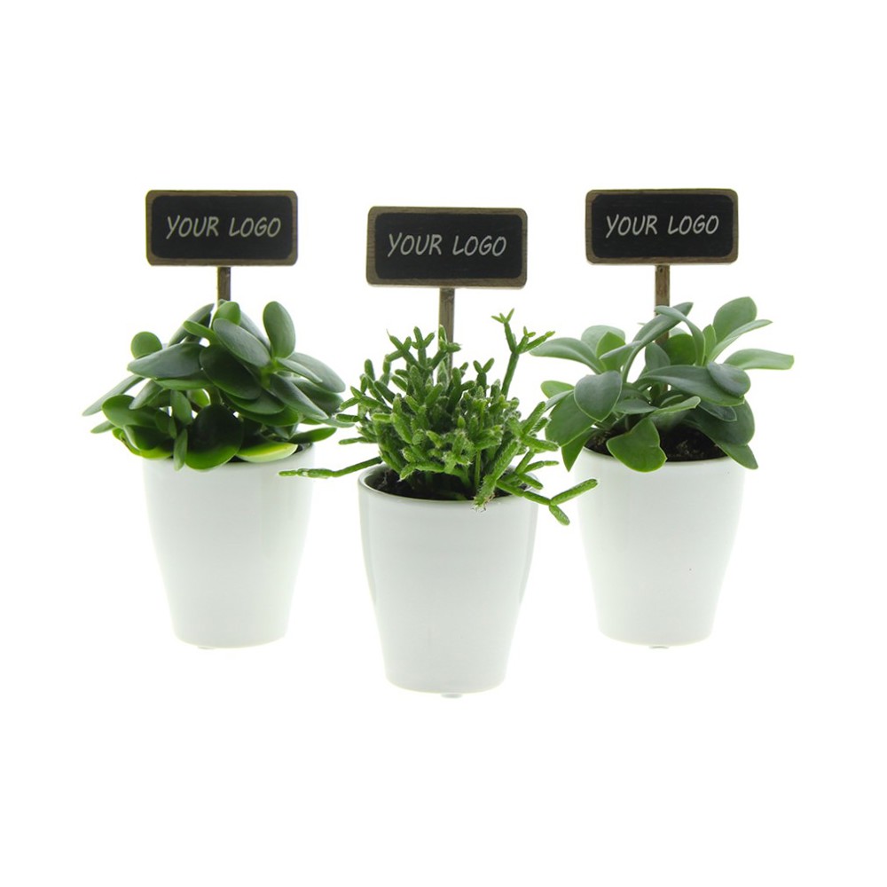 ChalkNotes® - Easy care mix, Zonder verpakking