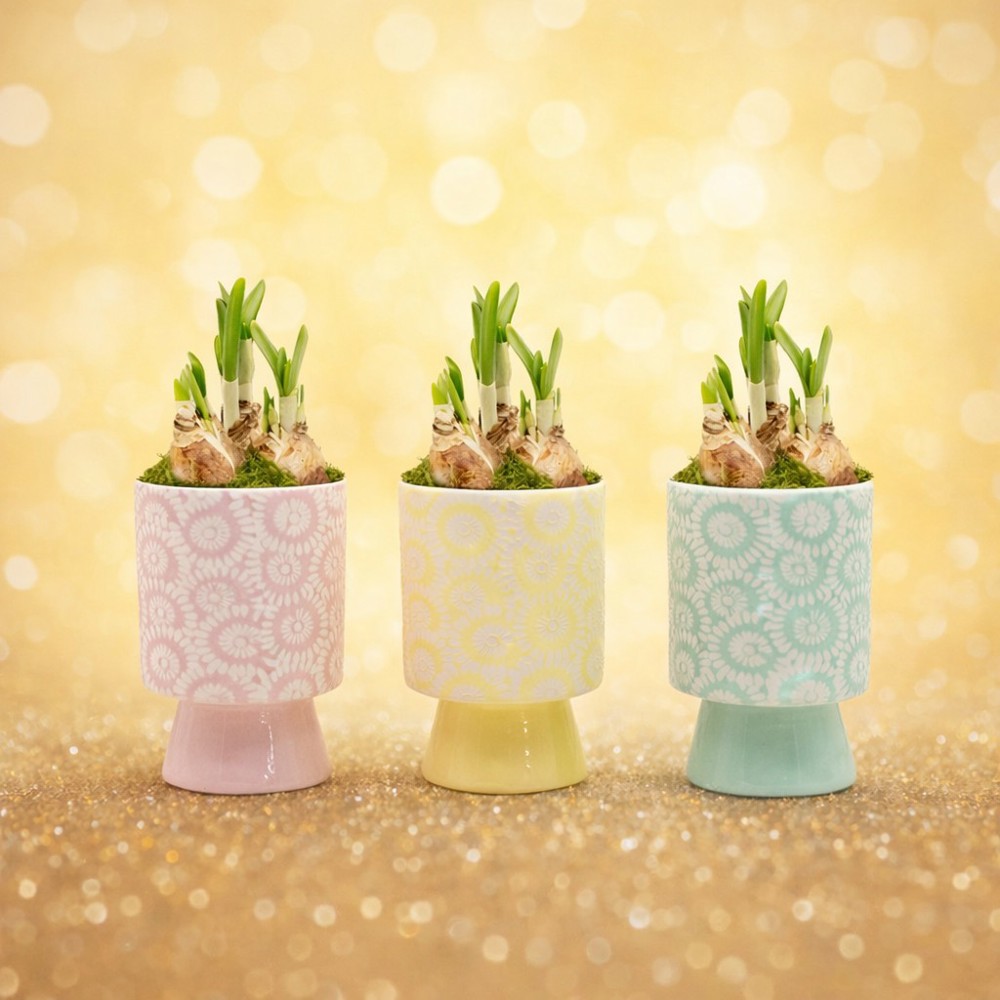 Easter colourful chicken medium - Narcis, Zonder verpakking