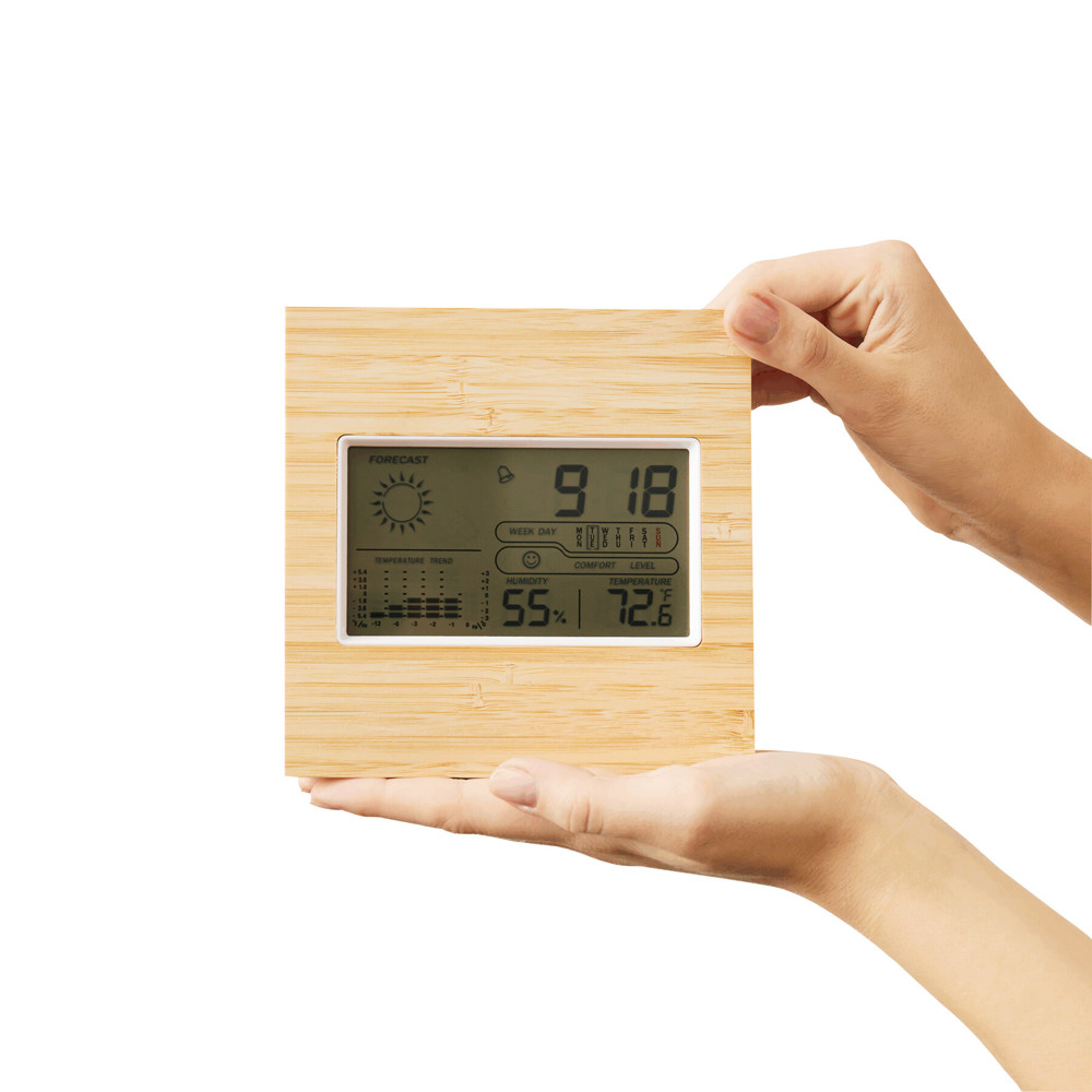 FORECAST - Weerstation - bedrukt of onbedrukt verkrijgbaar