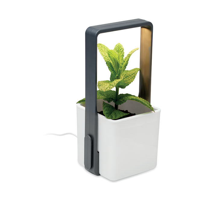 LUSHLET - Binnentuin met LED lamp