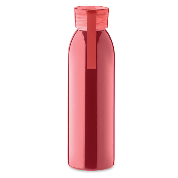 BIRA - Roestvrijstalen fles 650ml