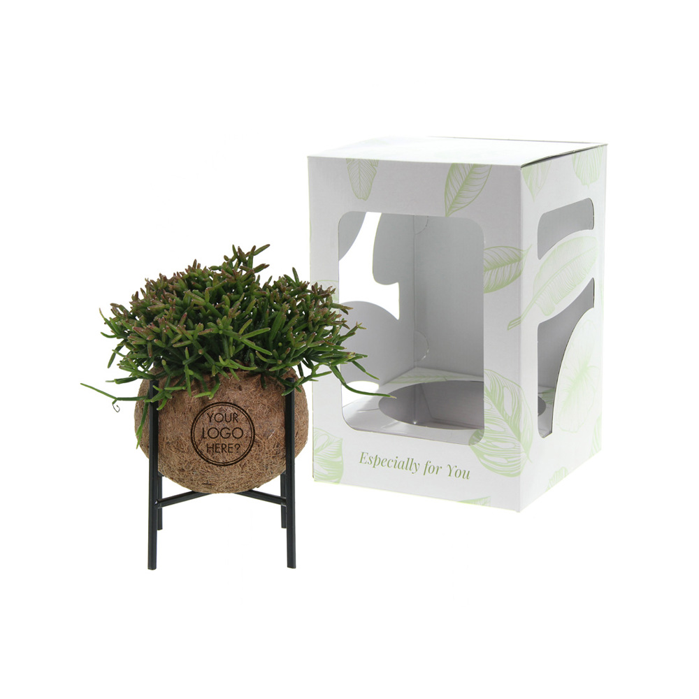 Kokodama® - Industrial easy green mix (M) - bedrukt of onbedrukt verkrijgbaar